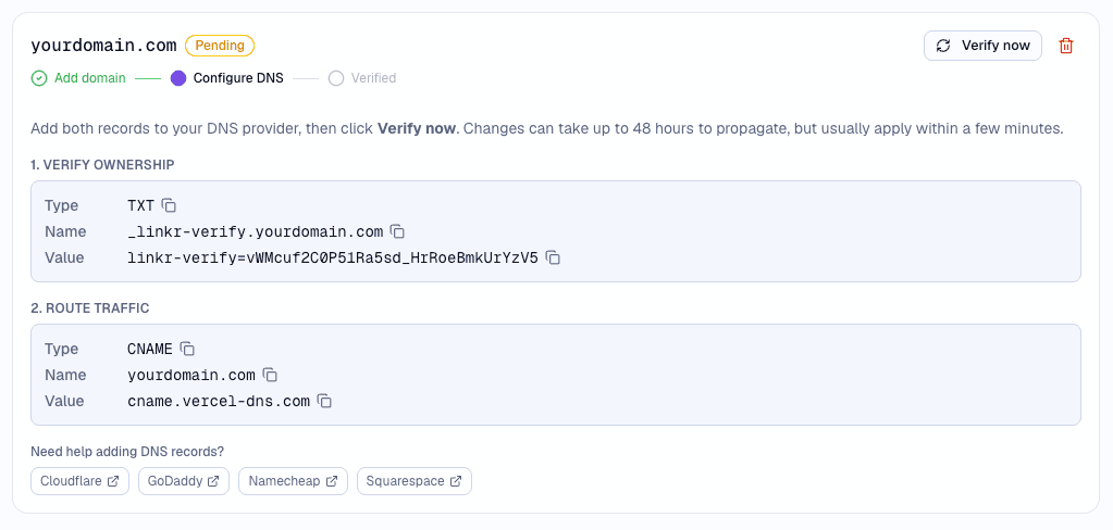 Linkr domain verification UI showing DNS setup steps